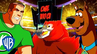 Scooby-Doo! en Français | Lutte Contre L'ours Fantôme!