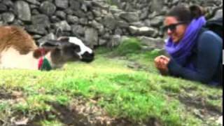 Men en Fen in South America