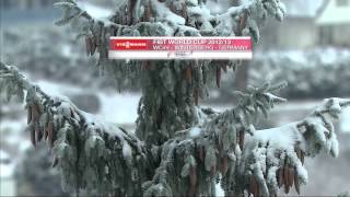 WC season 1213 in Review Women's Skeleton