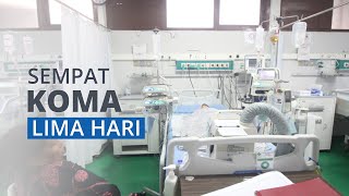 Balita di Cirebon Digigit Ular Weling, Sempat Koma Lima Hari Akhirnya Meninggal Dunia