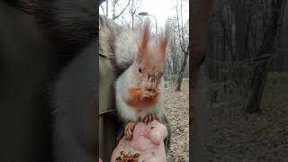 Сидим. Едим / We are sitting. We eat