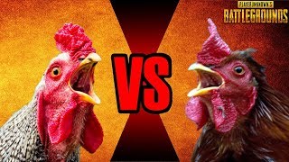 PUBG #ПЕТУШИНЫЕ РАЗБОРКИ