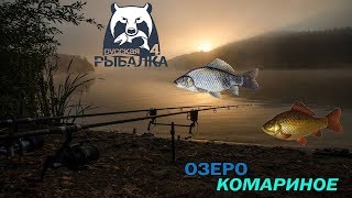 Русская рыбалка 4 | Озеро Старый Острог - рыбалка с премом - трофейный окунь