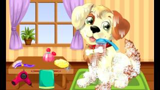 Зоосалон. Познавательное Видео Для Детей.  Educational Video for Kids. Pet Grooming.