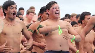 Intense Haka Competition at Hamilton Boys' High School, New Zealand