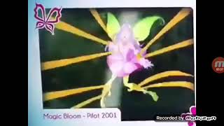 Magic bloom (2001)
