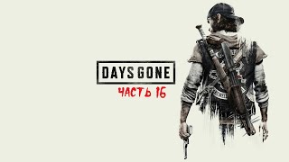 Days Gone PS4 ► Прохождение на русском ► Часть 16