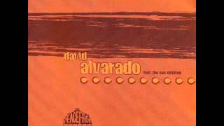 David Alvarado - The Flow