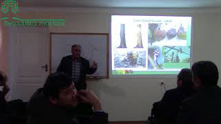 Интенсив шаклдаги боғлар барпо қилиш