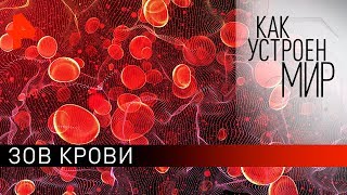 Зов крови. "Как устроен мир" с Тимофеем Баженовым (10.02.20).