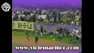 Viole Maribor; Maribor vijol'čni