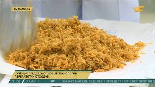 Учёные предлагают новые технологии переработки отходов
