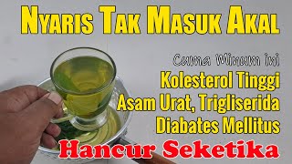 SETELAH NONTON VIDEO INI, ANDA AKAN MENCARI TANAMAN INI HINGGA DAPAT