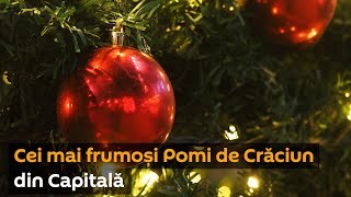 Cei mai frumoși Pomi de Crăciun din Capitală