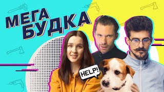 Умная собачья будка – почему проваливаются стартапы? || ГАДЖЕНУТЫЕ #2