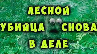 Лесной убийца снова в деле!|||Foxhole|||