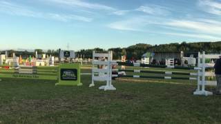 Just Nuts Pony 6 Bar