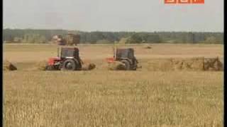 Убытки аграриев от стихии компенсирует государство