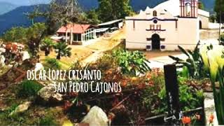 Hasta la tumba ( vercion Viejita )LAS JILGUERILLAS san Pedro Cajonos