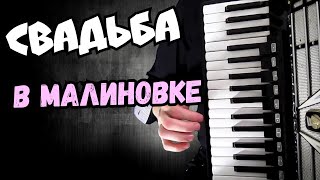 Свадьба в Малиновке | на Аккордеоне Кавер на Гармошке | Смотреть Видео