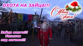 Охота на зайца!ДЕД МОРОЗ на охоте!Зайцы под ногами!