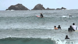 Spectacular Dolphin Surfing at Byron Bay || ViralHog