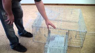 Drop Trap Set Up and Tear Down