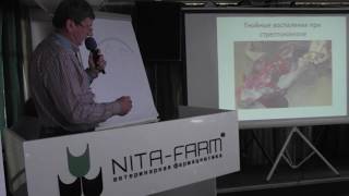 ANIMALPROFI. Июнь 2016. Гречухин Александр: Профилактика и лечение стрептококкоза свиней