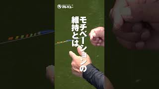 第134回釣技最前線 #Shorts #マルキユー #浅ダナ一本 #セット
