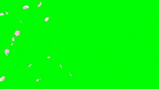 Top 4 green screen effects || most Popular green screen t