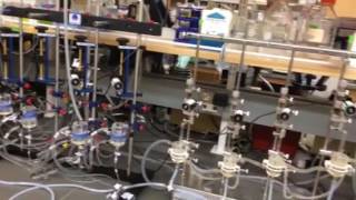 Four Unit Tissue Organ Bath System