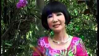 ThanhKimHue