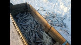 Ловим ряпушку + глобальное потепление Якутия Yakutia