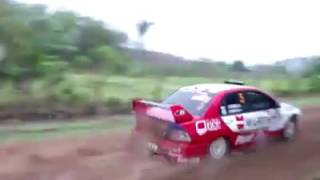 carro quase atropela cachorro