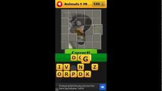 What's The Picture? Level 1-19 Animals Walkthrough Answers