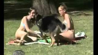 pussy hunter.