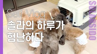 Self Vlogㅣ하루 중 제일 시간을 많이 쏟는 곳은?