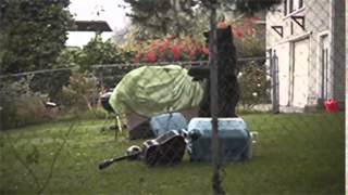 GIF compilation from 2014-03-25 and 2014-03-19, funny, gif