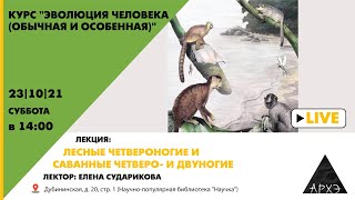 Лекция Елены Судариковой "Лесные четвероногие, саванные четверо- и двуногие" курса Эволюция человека