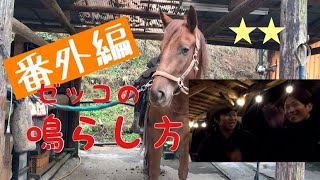 ゼッコの鳴らし方/息は吸うのか吐くのか