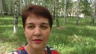 Сибирские новости. Грибы. Ромашки. Цветет липа.