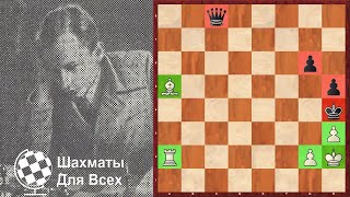 Шахматы. Слон СИЛЬНЕЕ Ферзя! УНИКАЛЬНЫЙ ЭТЮД Сергея Каминера!