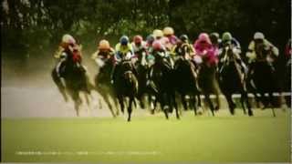 The LEGEND　2013年　JRA　CM 天皇賞（春）　ディープインパクト
