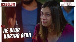 Yemin ederim ben yapmadım! - Kırgın Çiçekler 93.Bölüm