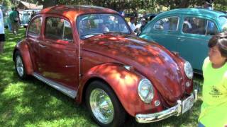 VW Club of Hawaii Zoo Event