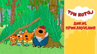 Три кота на СТС Kids | Дикие приключения