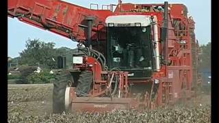 Potato harvesting in the Norfolk fenland Oct. 2011