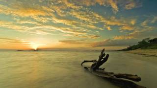 Driftwood - Rena Jones - Driftwood