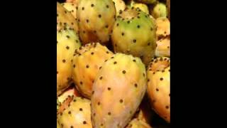 tchimbou  benisaf