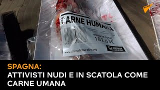 Spagna: attivisti nudi e in scatola come carne umana